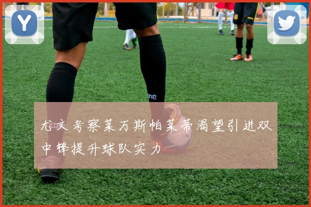 尤文考察莱万斯帕莱蒂渴望引进双中锋提升球队实力
