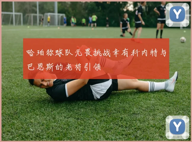 哈珀称球队无畏挑战幸有科内特与巴恩斯的老将引领